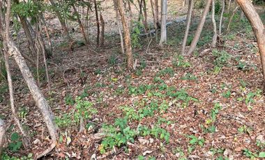 Terreno en la Boquilla, zona de gran desarrollo
