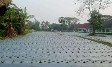 4112 M2 Tanah Strategis Zona Kuning Pinggir Jalan Raya Pangauban, Bandung Barat