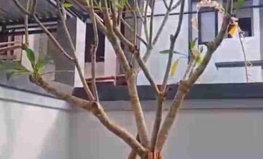 VILLA BARU- LOKASI JALAN GEMITIR DENPASAR TIMUR