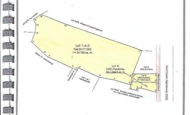 26,000 sqm Lot for Lease in West Service Road, Paranaque