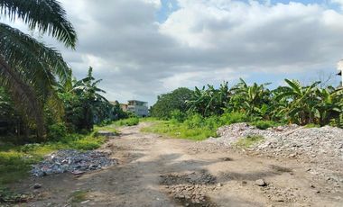 26,000 sqm Lot for Lease in West Service Road, Paranaque