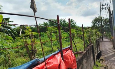 9,225 sqm Lot for Lease in East Service Road, Paranaque