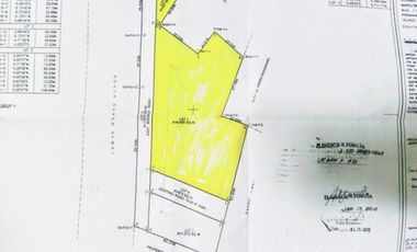 6,827sqm Lot for Lease in East Service Road, Paranaque