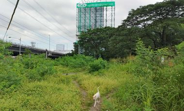 6,827sqm Lot for Lease in East Service Road, Paranaque