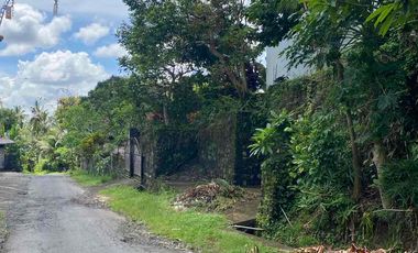 jual tanah penebel tabanan 5are