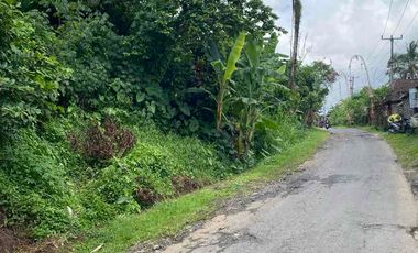 jual tanah penebel tabanan 5are