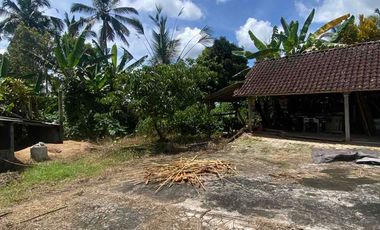 jual tanah penebel tabanan 5are