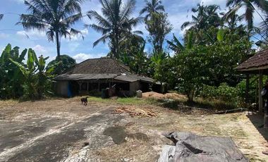 jual tanah penebel tabanan 5are