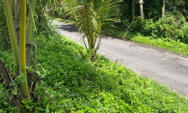 jual tanah penebel tabanan 5are