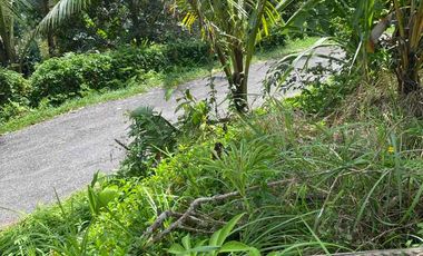 jual tanah penebel tabanan 5are