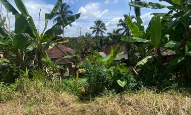 jual tanah penebel tabanan 5are