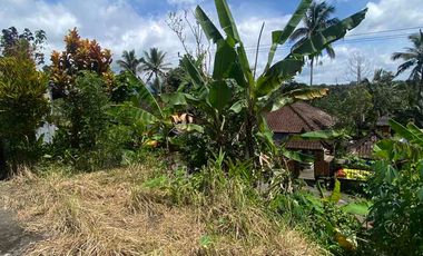 jual tanah penebel tabanan 5are