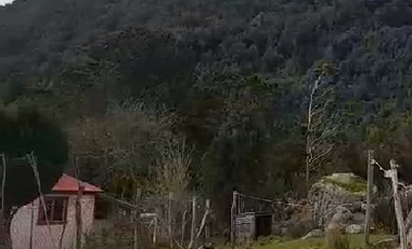 CAMPO QUILLAIPE CERCANO ALERCE ANDINO