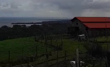 CAMPO QUILLAIPE CERCANO ALERCE ANDINO