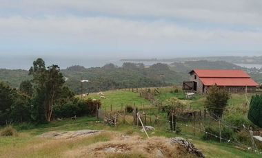 CAMPO QUILLAIPE CERCANO ALERCE ANDINO