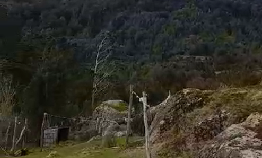 CAMPO QUILLAIPE CERCANO ALERCE ANDINO