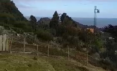 CAMPO QUILLAIPE CERCANO ALERCE ANDINO