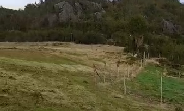 CAMPO QUILLAIPE CERCANO ALERCE ANDINO