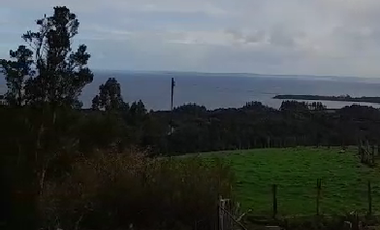 CAMPO QUILLAIPE CERCANO ALERCE ANDINO