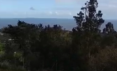 CAMPO QUILLAIPE CERCANO ALERCE ANDINO