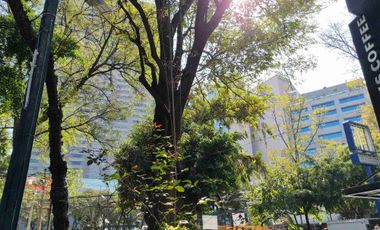 Hermoso departamento en Polanco en renta