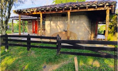 Venta Finca Ganader y Agrícola en Maceo Antioquia