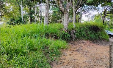 Venta Finca Ganader y Agrícola en Maceo Antioquia