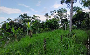 Venta Finca Ganader y Agrícola en Maceo Antioquia