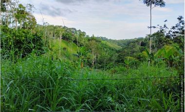 Venta Finca Ganader y Agrícola en Maceo Antioquia