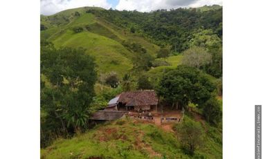 Venta Finca Ganadera en Maceo Antioquia