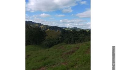 Venta Finca Ganadera en Maceo Antioquia