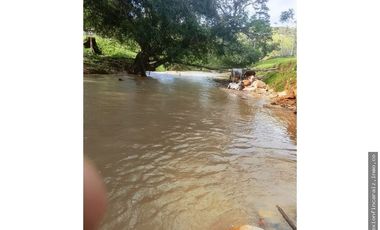 Venta Finca Ganadera en Maceo Antioquia