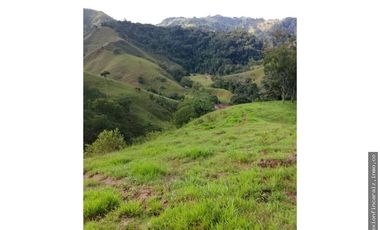 Venta Finca Ganadera en Maceo Antioquia