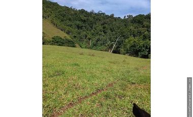 Venta Finca Ganadera en Maceo Antioquia