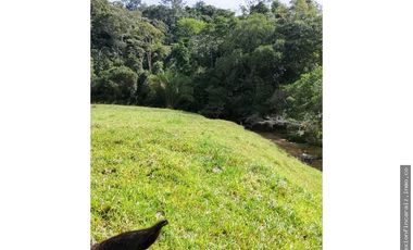 Venta Finca Ganadera en Maceo Antioquia