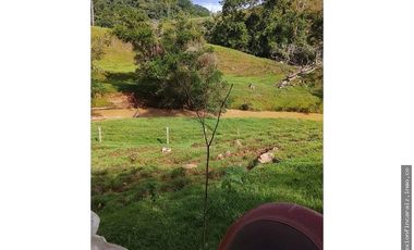 Venta Finca Ganadera en Maceo Antioquia