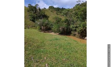 Venta Finca Ganadera en Maceo Antioquia