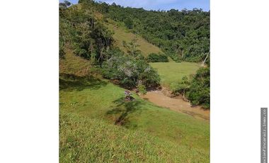 Venta Finca Ganadera en Maceo Antioquia