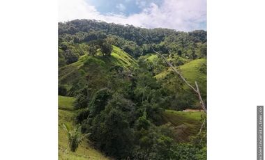 Venta Finca Ganadera en Maceo Antioquia