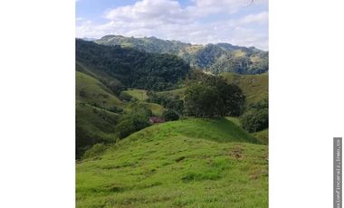 Venta Finca Ganadera en Maceo Antioquia