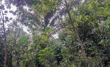 dijual lahan pinggir jalan murah