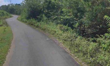 Di jual Tanah cocok peternakan & perkebunan