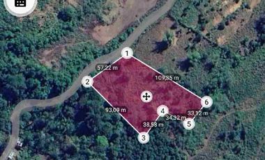 Di jual Tanah cocok peternakan & perkebunan