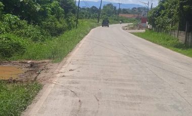 Tanah Luas 14 Hektar Lokasi Strategis Maja