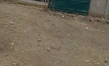 Jual cepat Lahan padat strategis , sudah di pager keliling , babelan, deket pintu tol dan summarecon bekasi