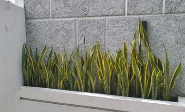 Dijual Rumah di Sri Rejeki Semarang Barat