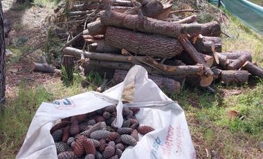 EXCELENTE COMPLEJO CASAS CUBO EN POZO AGUAS VERDES