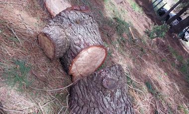 EXCELENTE COMPLEJO CASAS CUBO EN POZO AGUAS VERDES