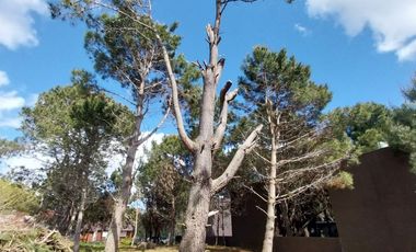 EXCELENTE COMPLEJO CASAS CUBO EN POZO AGUAS VERDES