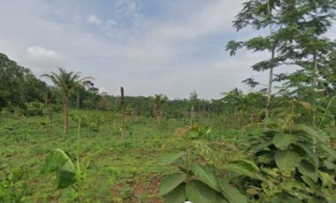 Tanah dijual di Cendono, Bandar, Batang, Jawa Tengah